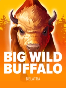 Big Wild Buffalo