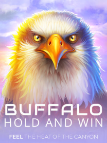 Buffalo Hold And Win