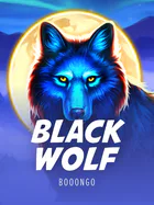 Black Wolf: Hold and Win