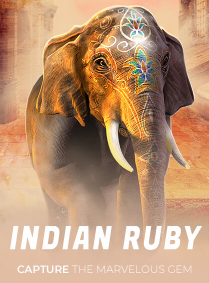 Indian Ruby