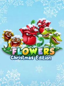 Flowers Christmas Edition