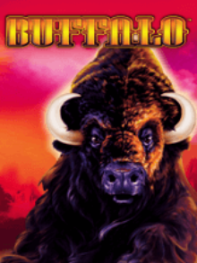 Buffalo