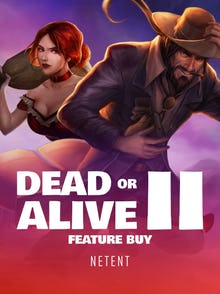 Dead or Alive 2 Feature Buy