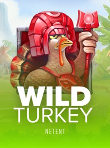 Wild Turkey