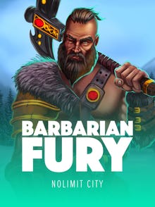 Barbarian Fury