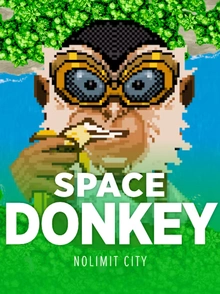 Space Donkey