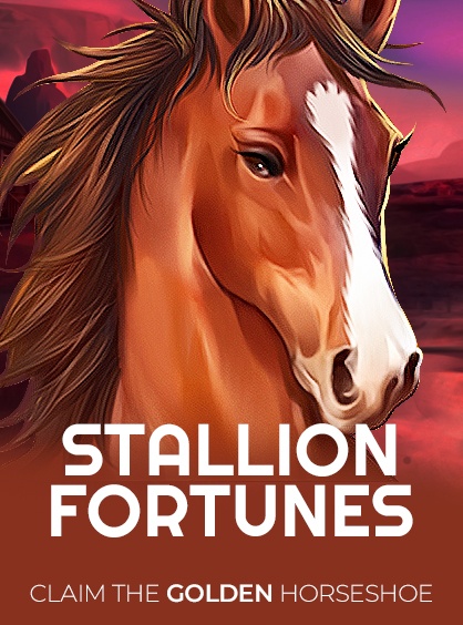 Stallion Fortunes