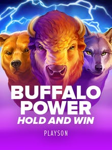 Buffalo Power: Hold and Win