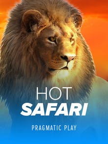 Hot Safari