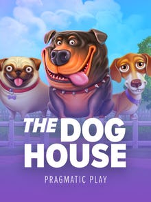 The Dog House