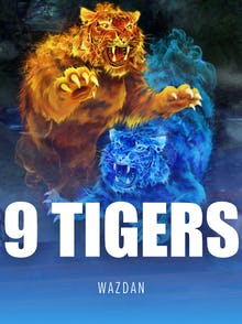 9 Tigers